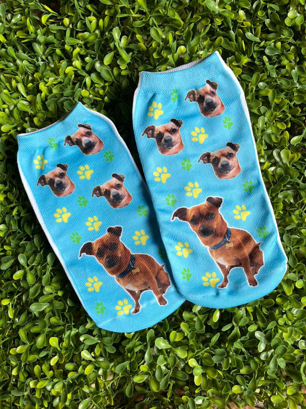Medias personalizadas azules con foto de perrito â€” Comedogs Cali