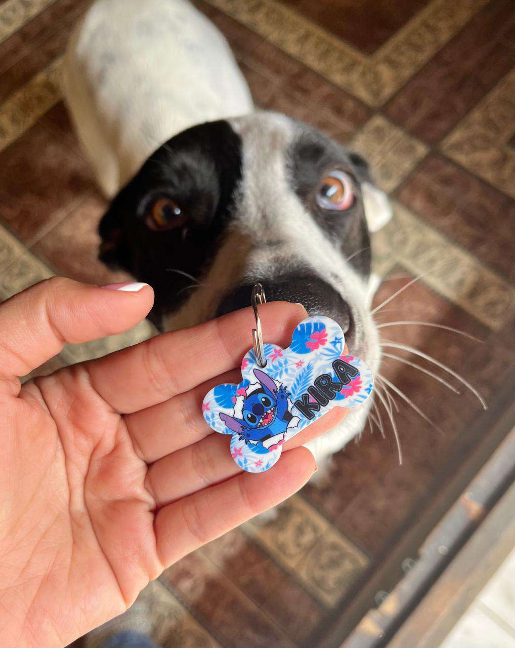 Plaquita ID personalizada diseÃ±o Stitch â€” Comedogs Cali