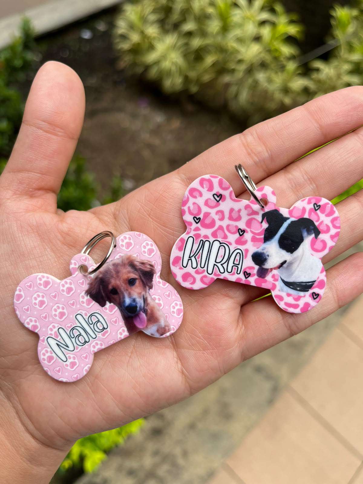 Plaquita ID personalizada con foto y nombre de perrito â€” Comedogs Cali